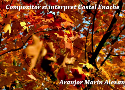 Costel Enache - Nu mai plange