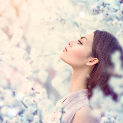 dreamstime_xl_53136397